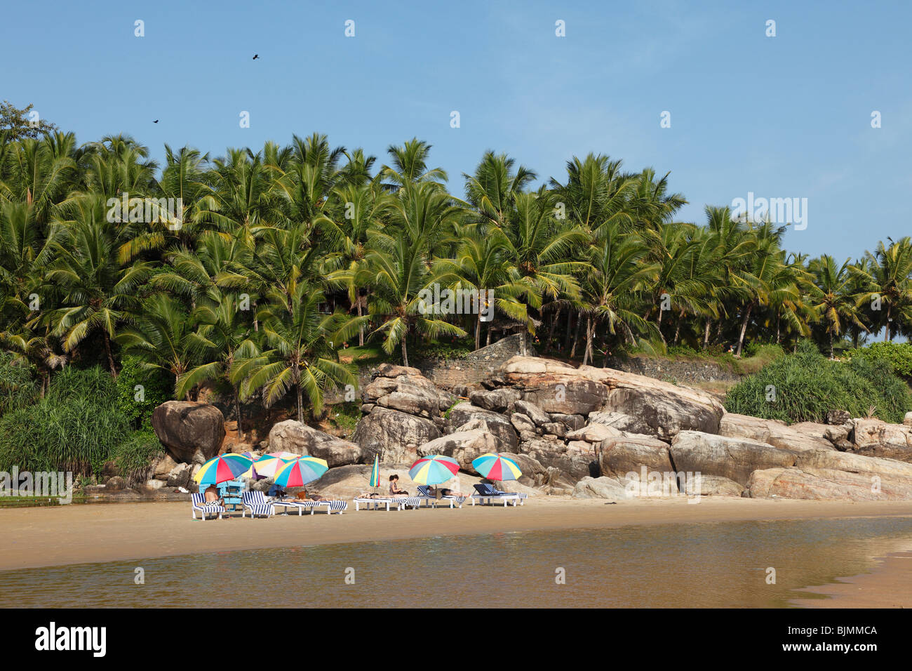 Tumbonas y sombrillas frente a las palmas, Somatheeram Beach, al sur de Kovalam, Malabarian costa Malabar, Kerala, India, como Foto de stock