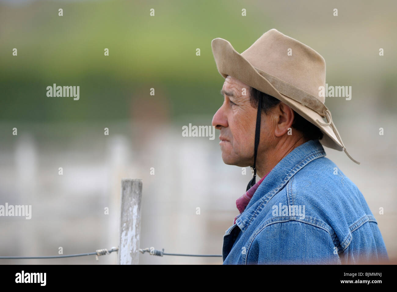 Empleado película Negar Gaucho sombrero fotografías e imágenes de alta resolución - Alamy