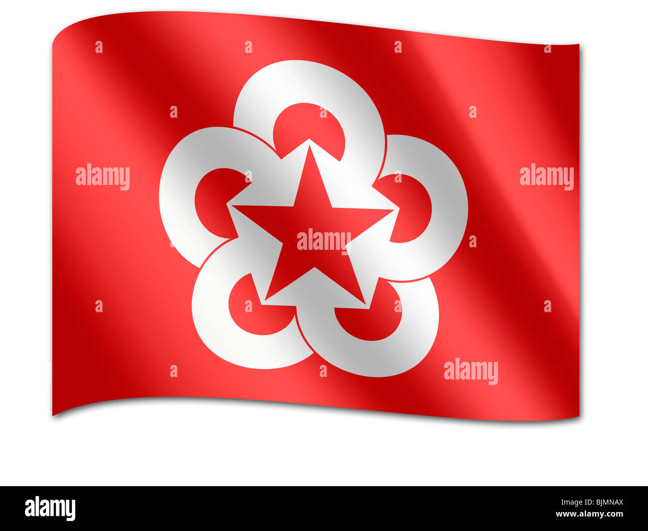 Bandera del Consejo de Ayuda Mutua Económica, Came Foto de stock