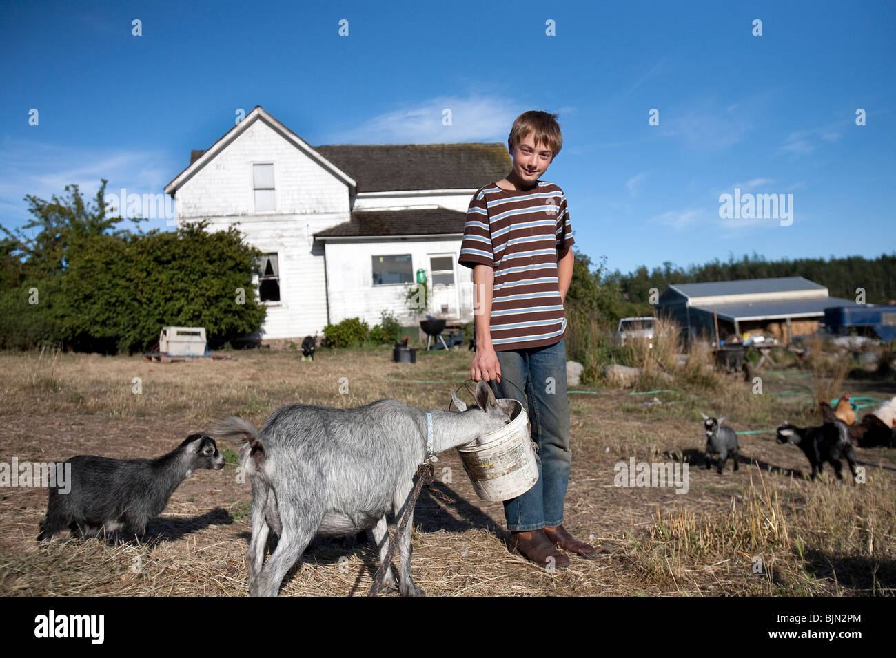 McCauley Fowler alimenta a sus cabras en la granja de su familia. Foto de stock