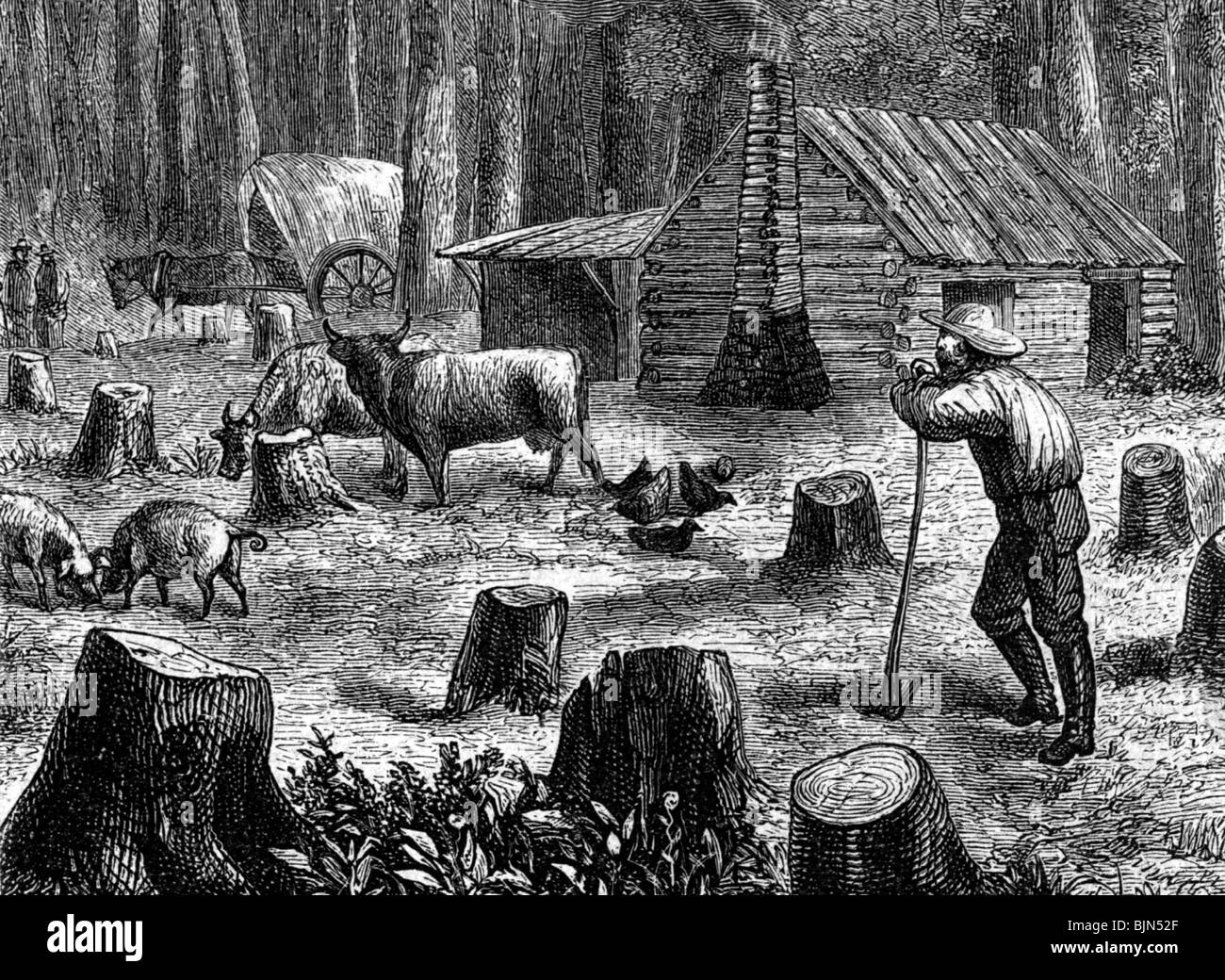 Geografía / viajes, Estados Unidos de América, gente, colono, choza en el bosque, grabado de madera, circa 1860, Foto de stock