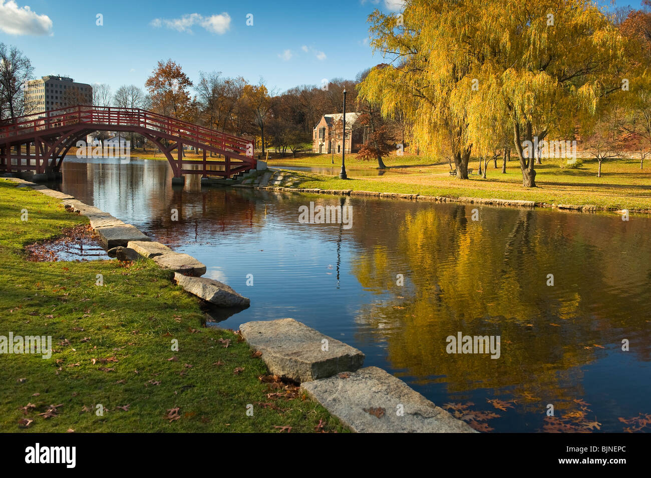 Esta es la vista hacia el sur desde el centro de Elm Park en Worcester