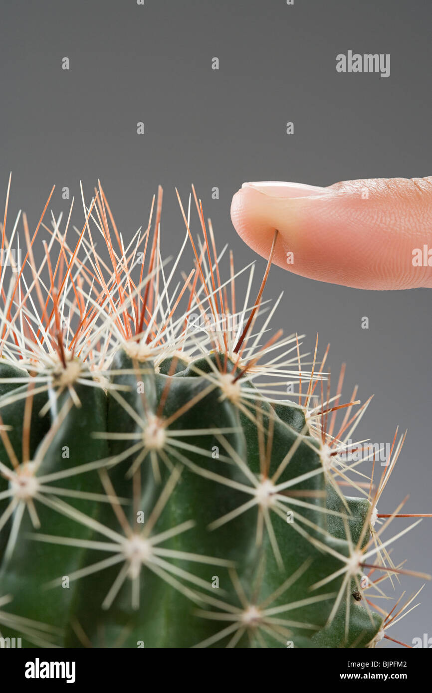 Una mujer presionando el dedo sobre un cactus Foto de stock