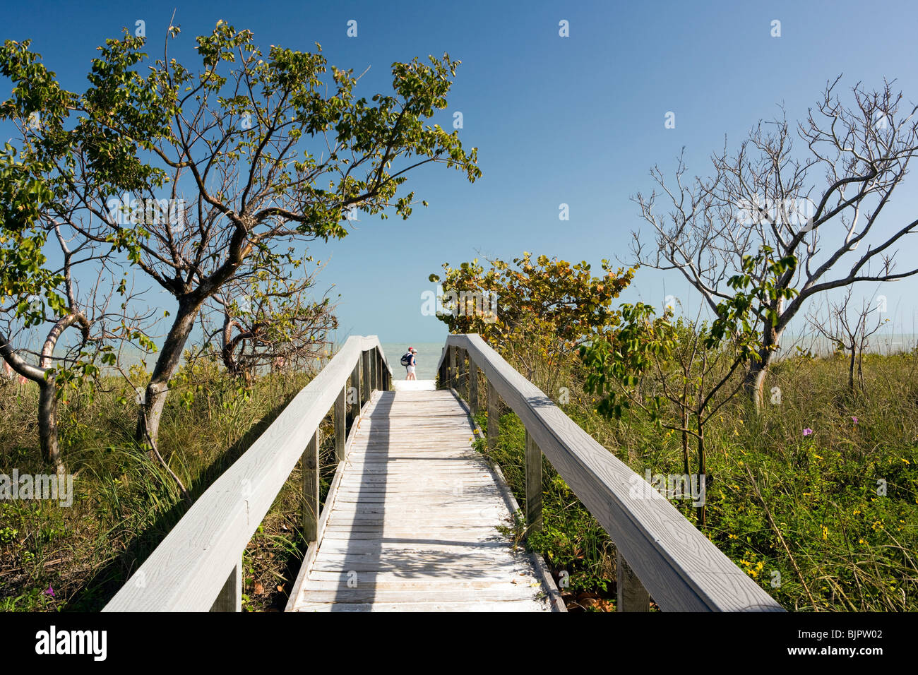 Paseo a la playa - Sanibel Island, Florida, EE.UU. Foto de stock