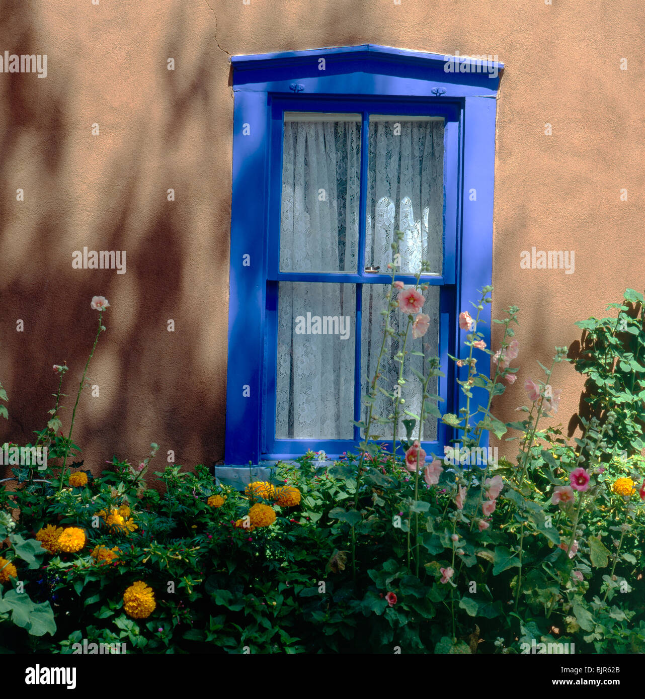 Marco de ventana azul, cortinas de encaje y jardín de flores a lo largo de  Canyon Road, sitio de galerías y tiendas, Santa Fe, Nuevo México, Estados  Unidos Fotografía de stock -