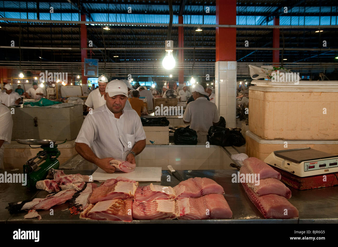 Mercado de la ciudad de Manaus ( Mercado Municipal ), Brasil. El pirarucu, también conocido como arapaima o el paiche (Arapaima gigas ) Foto de stock