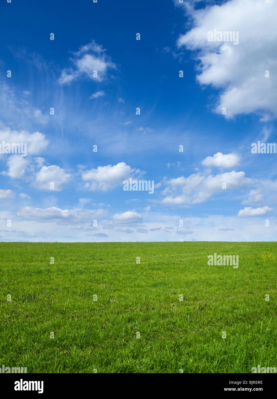 Paisaje - campo verde y azul cielo Foto de stock