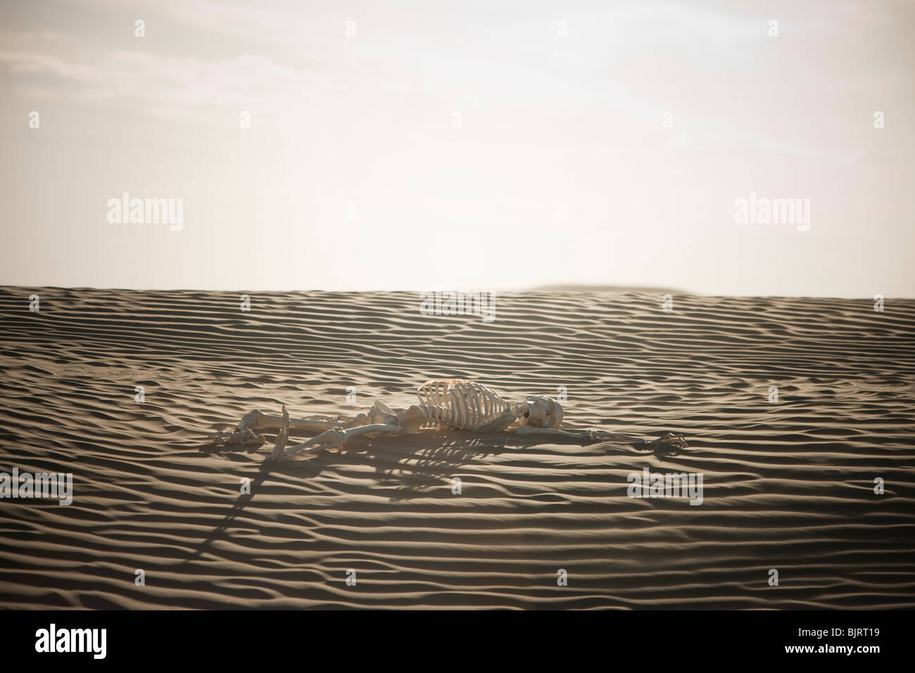 Estados Unidos, Utah, pequeño Sáhara, esqueleto humano en el desierto Foto de stock