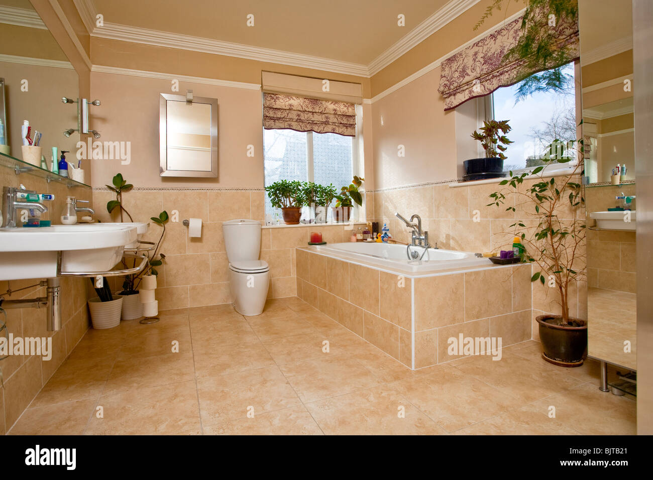 Taburete azul para niños junto al lavabo con pedestal en un pequeño cuarto  de baño Fotografía de stock - Alamy