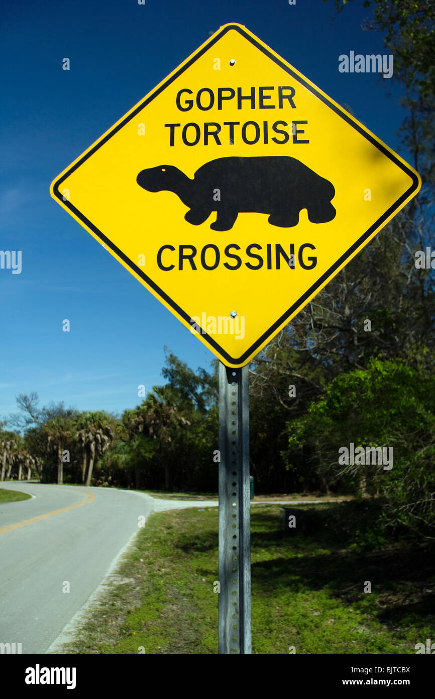 Tortuga Gopher - signo de Cruce Sanibel Island, Florida, EE.UU. Foto de stock
