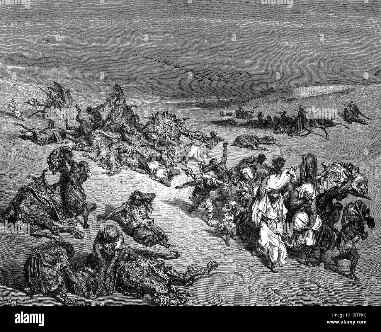 La medicina, las enfermedades pandémicas, la peste, el grabado en madera, del siglo XIX, después de la pintura de Gustave Doré (1832 - 1883), escena bíblica, epidemia, epidemias, pandemias, histórico, histórico, de los enfermos, de los enfermos, las enfermedades, la muerte, la gente, los derechos de autor del artista no ha de ser borrado Foto de stock