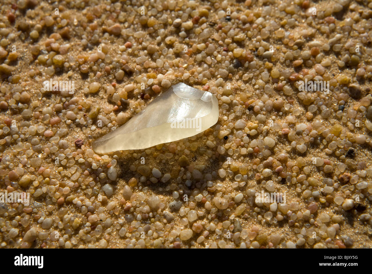 Los fragmentos de vidrio de sílice sobre el suelo del desierto en un corredor interdunal del gran mar de arena, al norte de la Meseta de Gilf Kebir, Egipto Foto de stock