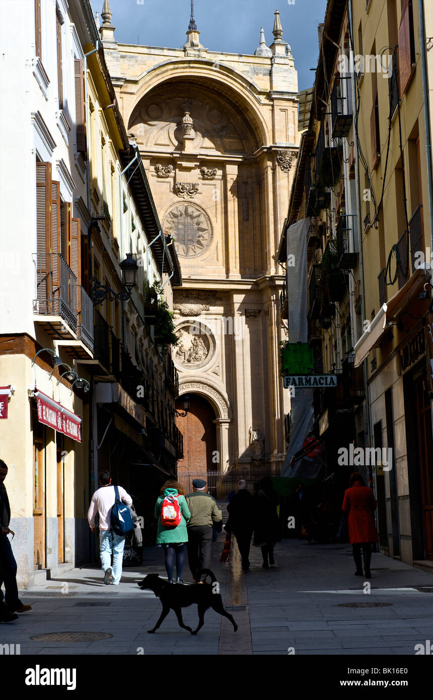 La catedral de Granada Foto de stock