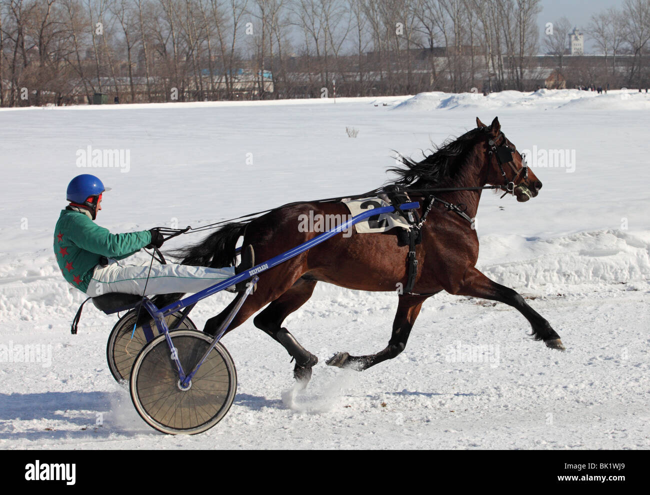 Harness Racing en invierno, trotter carreras de caballos en el hipódromo de Heath en estado de Tambov, Rusia Foto de stock