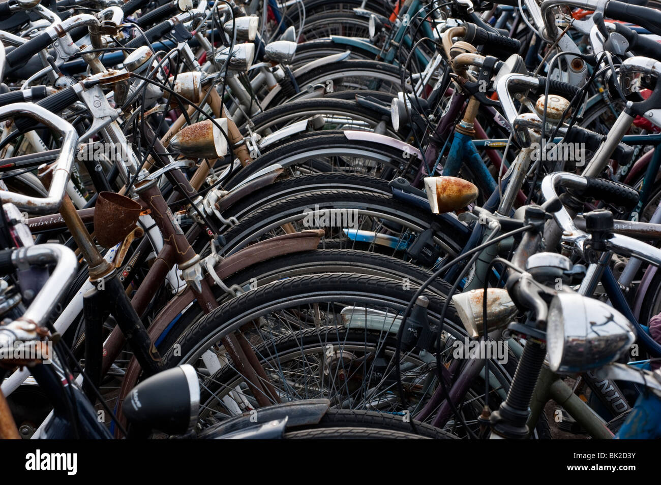 Muchas bicicletas estacionados en parque público en los Países Bajos Foto de stock