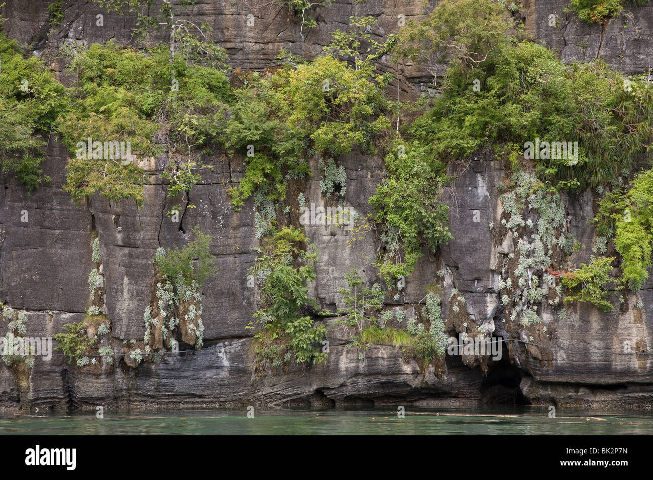 En Pulau Langkawi Geopark, costera características de piedra caliza con el crecimiento de arbustos. Foto de stock