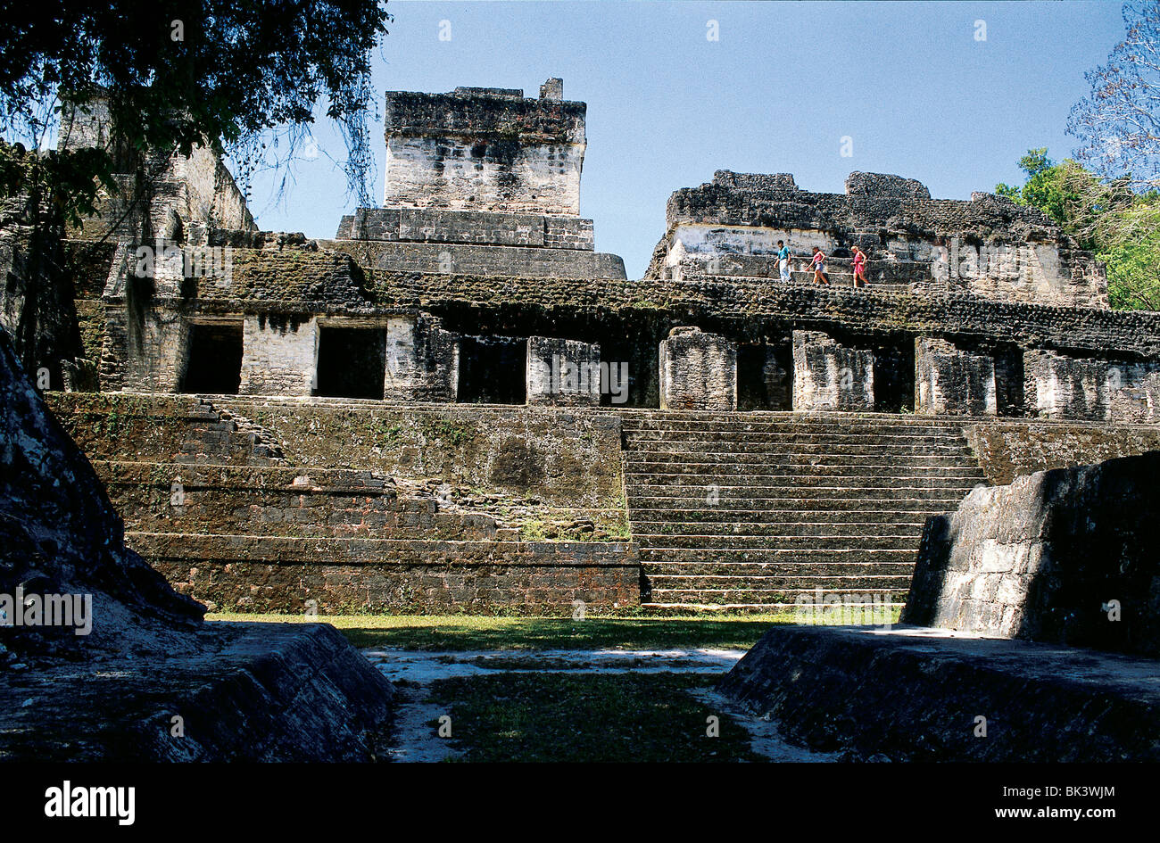Las ruinas Mayas en Tikal Guatemala Fotografía de stock Alamy