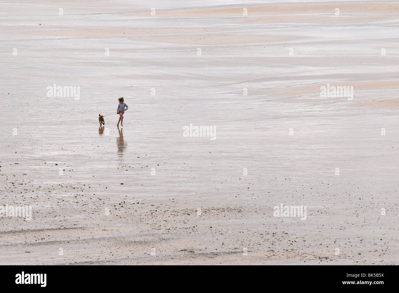 Una vista distante de una niña y su perro corriendo a través de la playa Fistral en Newquay en Cornwall. Foto de Gordon Scammell Foto de stock