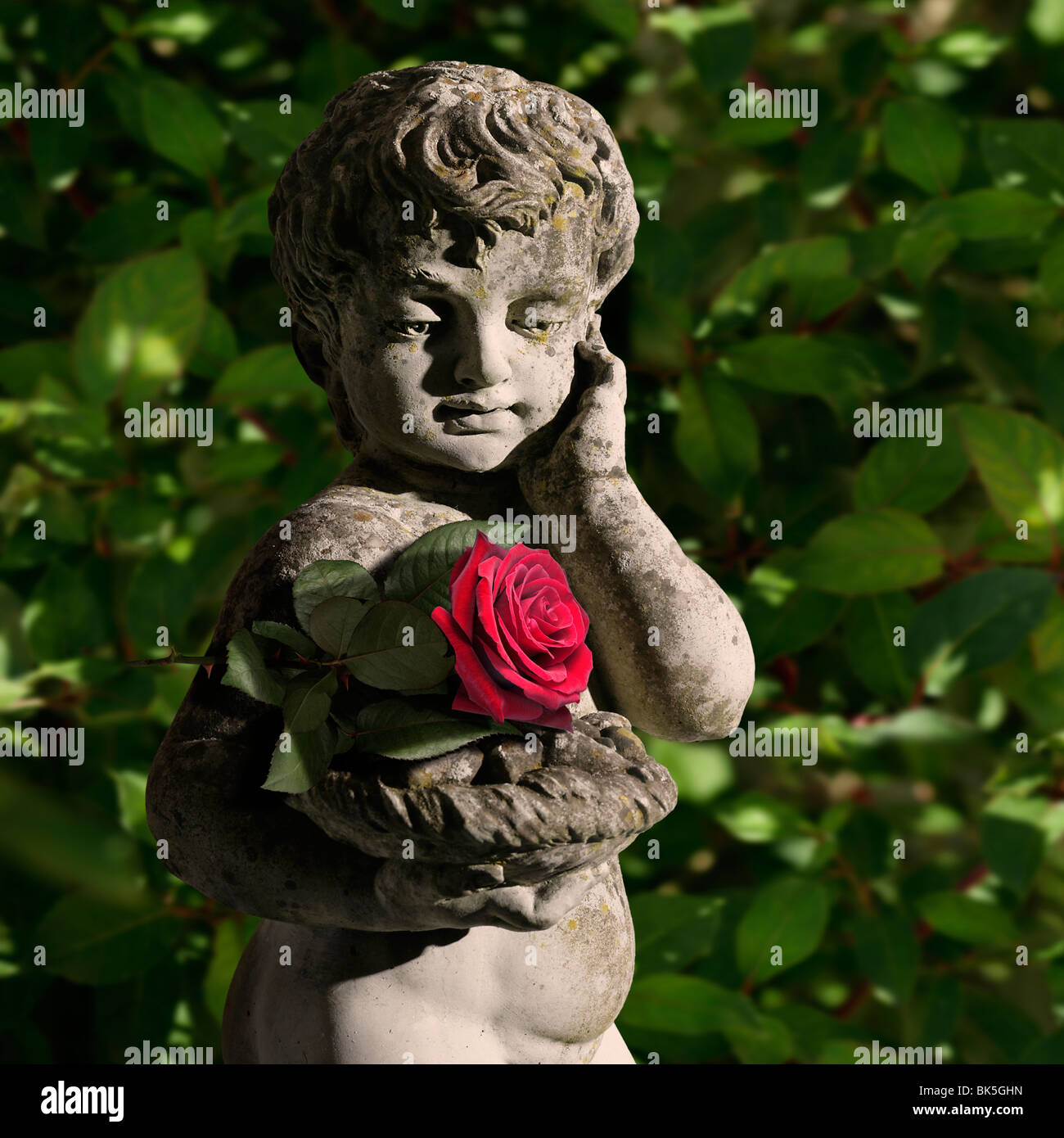 Estatua de un niño en un jardín con una rosa roja square Foto de stock