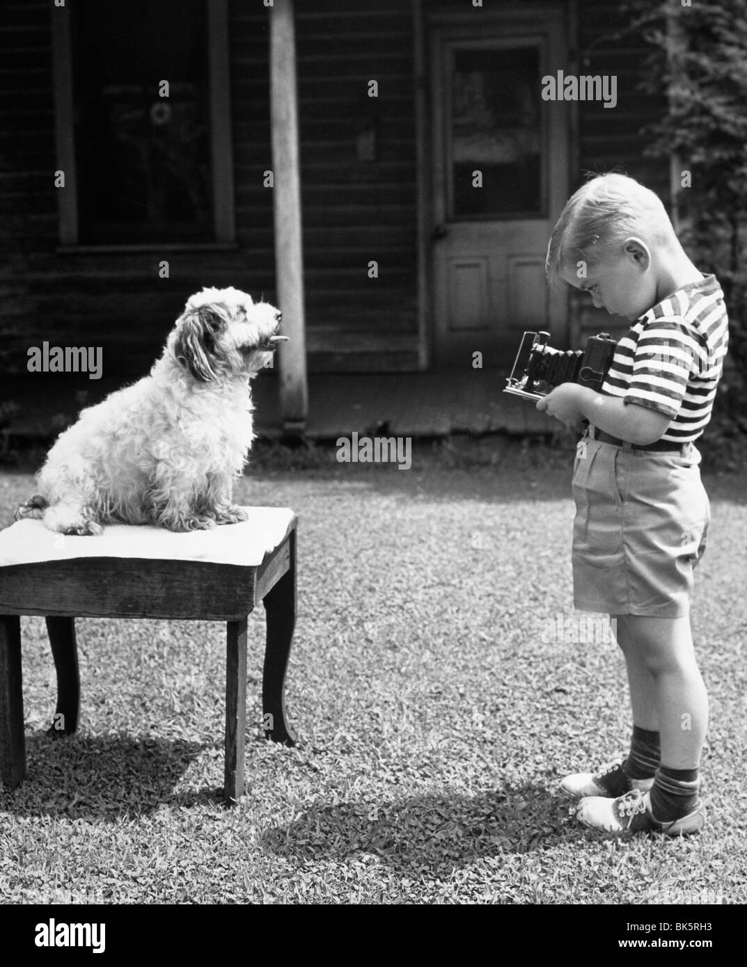 El perfil lateral del niño tomando la fotografía de su perro Foto de stock