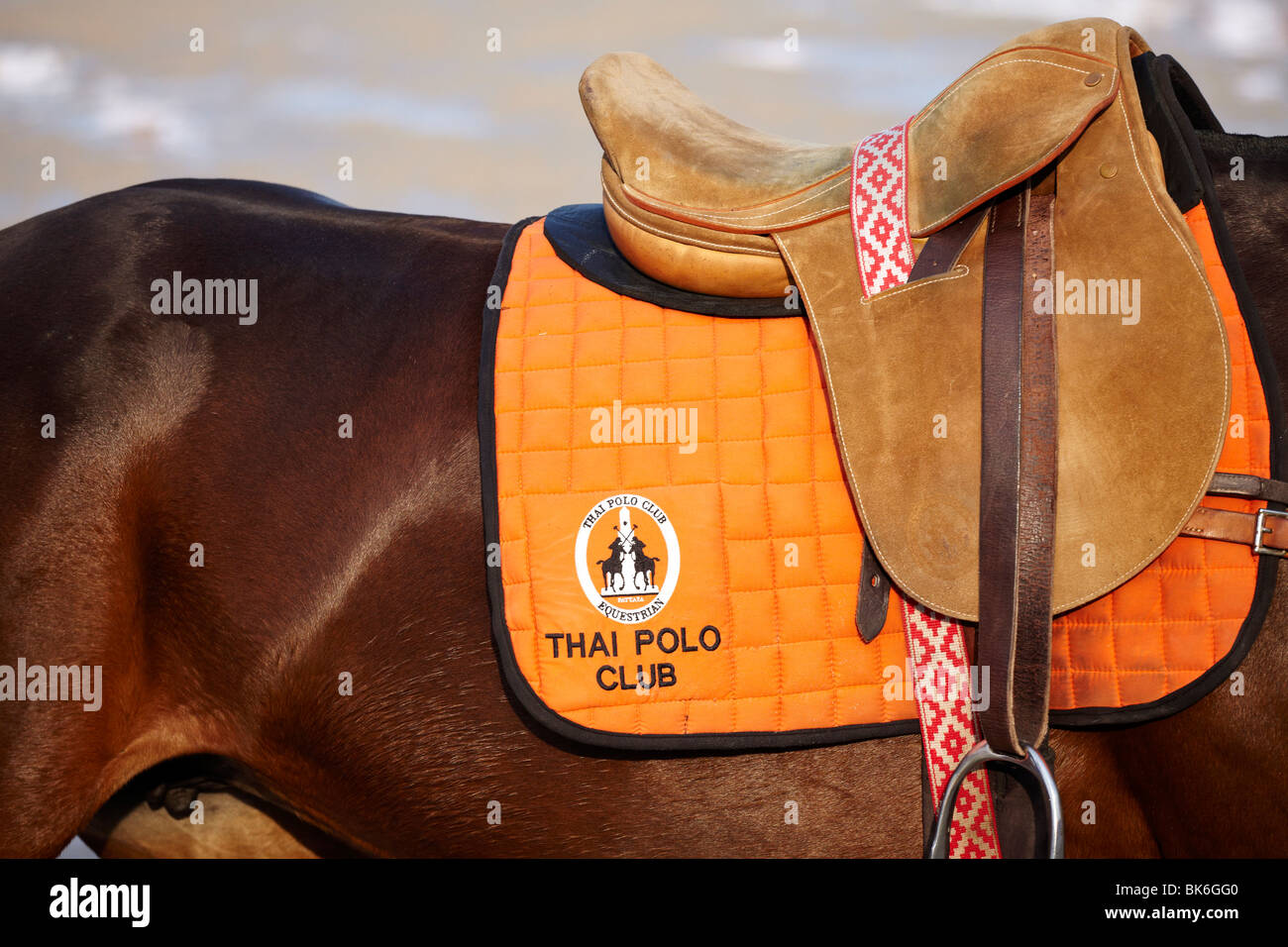 Polos del caballo sale