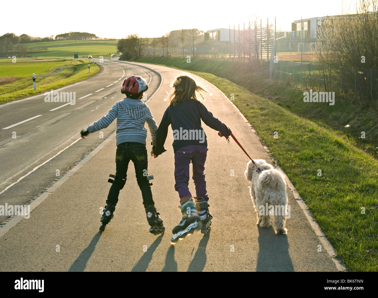 2 niños en patinas caminar perro mascota. Foto de stock