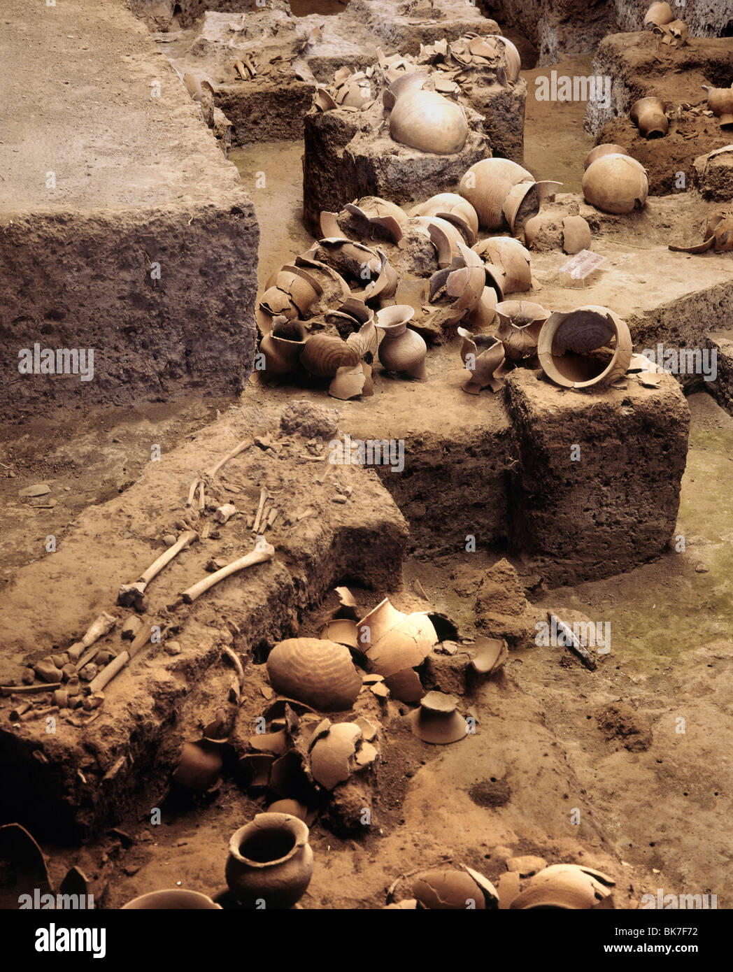 Excavación del yacimiento prehistórico de Ban Chiang, Tailandia, el sudeste de Asia, Asia Foto de stock