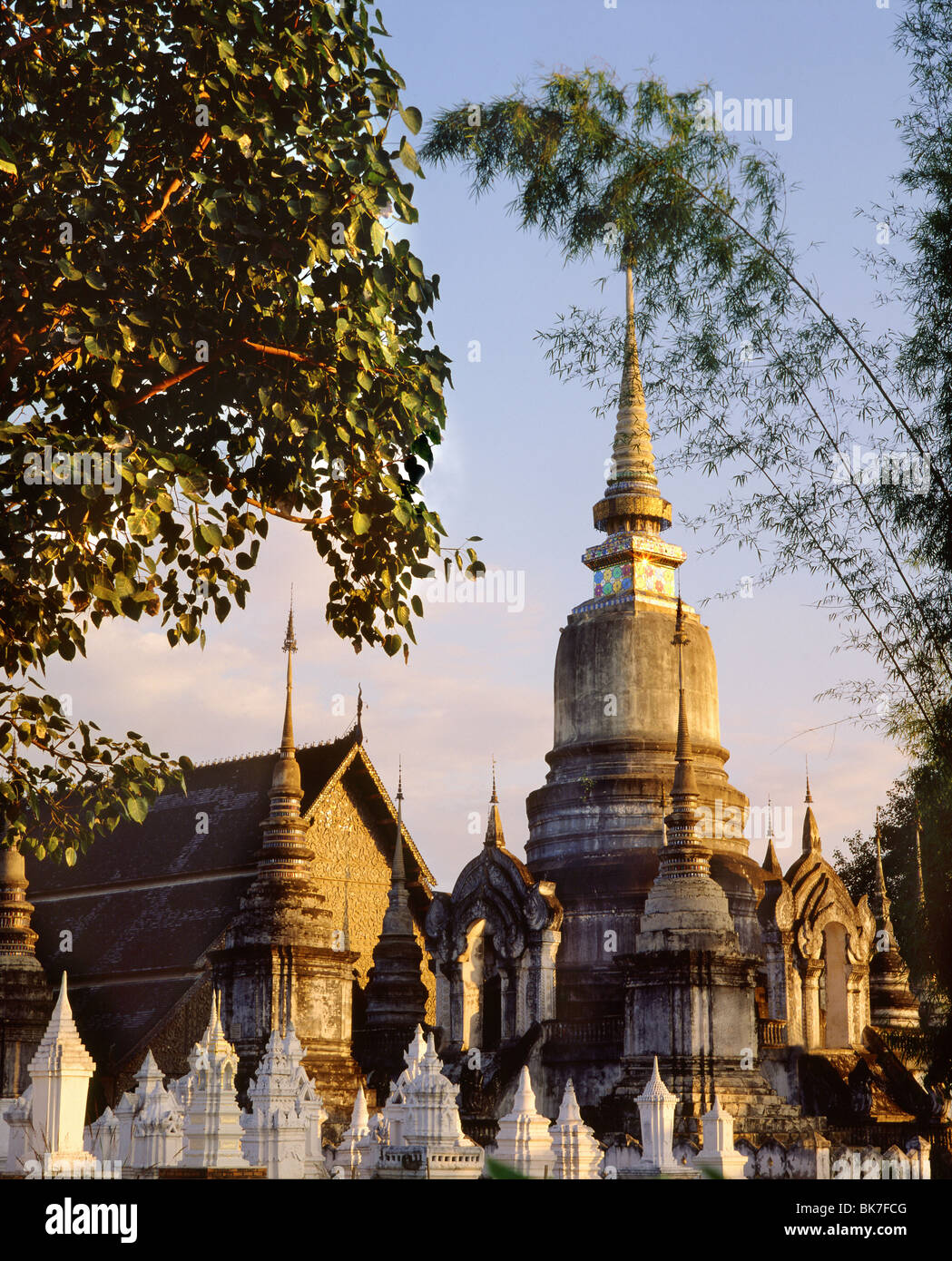 Wat Suan Dok, Chiang Mai, Tailandia, en el sudeste de Asia, Asia&#10, Foto de stock