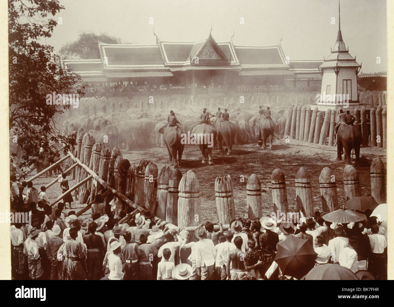 Phtoograph de Royal hunt de elefantes en Ayutthaya, en 1890, Tailandia, el sudeste de Asia, Asia Foto de stock