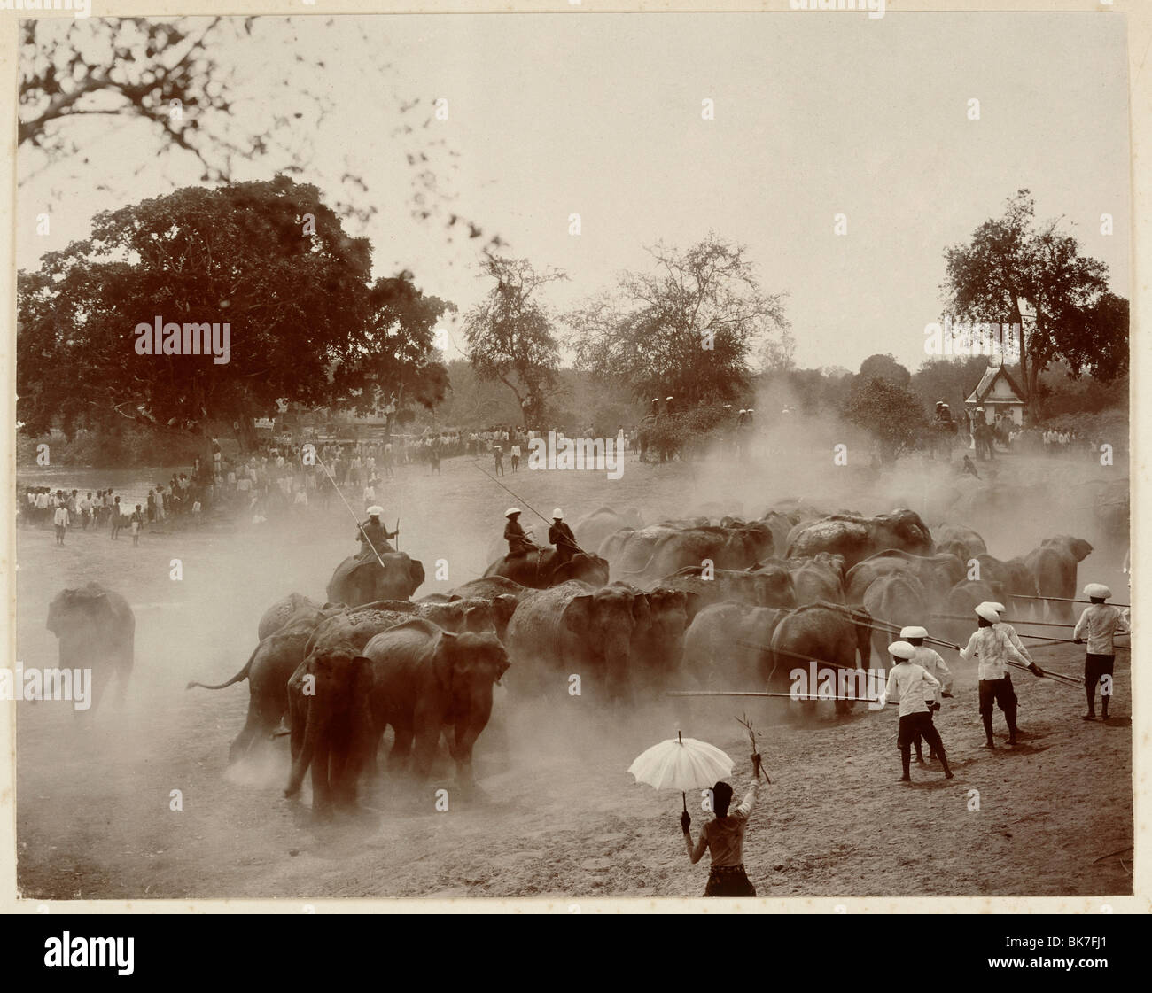 Phtoograph de Royal hunt de elefantes en Ayutthaya, en 1890, Tailandia, el sudeste de Asia, Asia Foto de stock