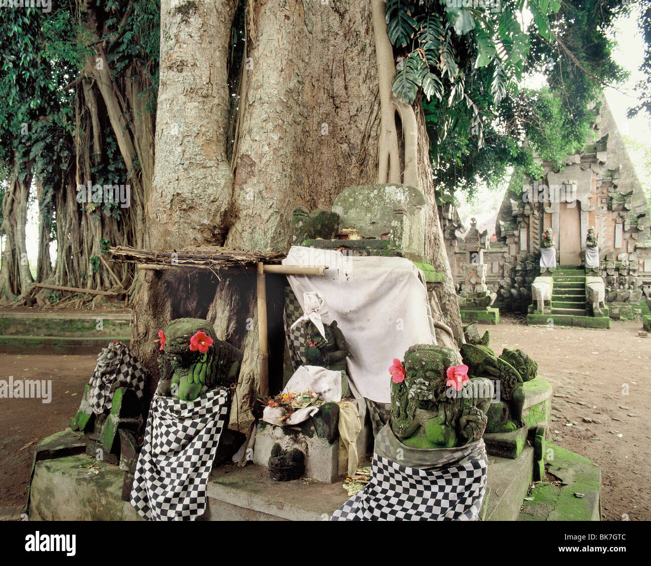 Altar en la base de un árbol kepuh delante de un templo de Durga en Bali, Indonesia, Sudeste Asiático, Asia Foto de stock