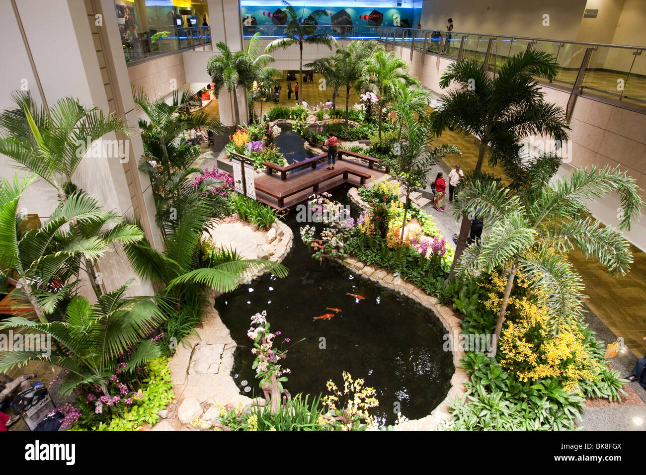 Jardín de orquídeas en el aeropuerto Changi, Singapur, Indonesia, Sudeste de Asia Foto de stock