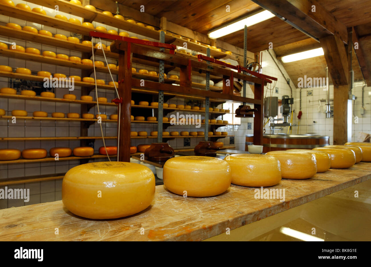Abra quesería, Katharina Hoeve, ruedas de queso en un tablero, Gouda, museo al aire libre Zaanse Schans, Zaandam, Holanda Septentrional, Foto de stock