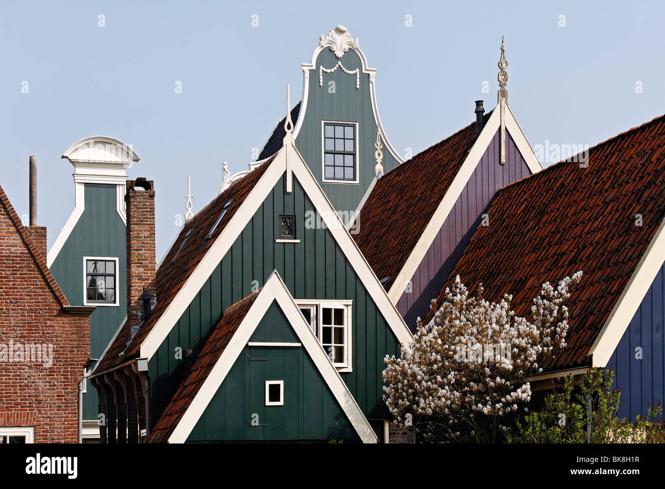 Típicas casas de madera del siglo XVII, techos, ciudad histórica de Rijp cerca de Alkmaar, en la provincia de Holanda Septentrional, Países Bajos, Foto de stock