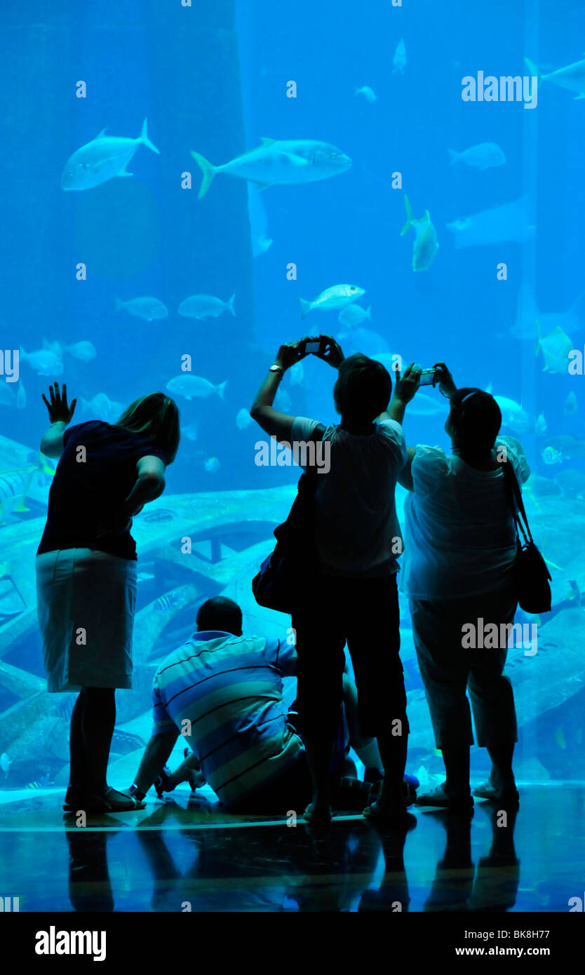 Enorme acuario de agua salada del hotel Atlantis, el Palm Jumeirah, Dubai, Emiratos Árabes Unidos, Arabia, Oriente Medio Oriente Foto de stock