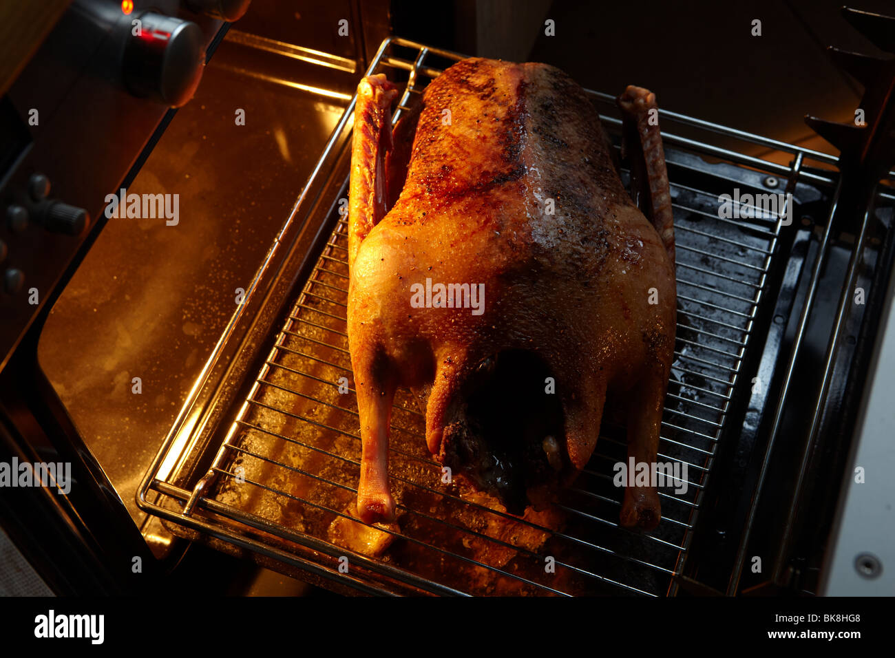 Dorar el ganso asado en el horno todavía por la luz de la lámpara del horno  Fotografía de stock - Alamy