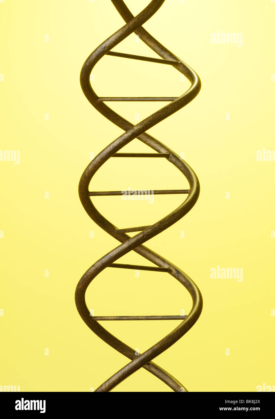Doble hélice del ADN Foto de stock