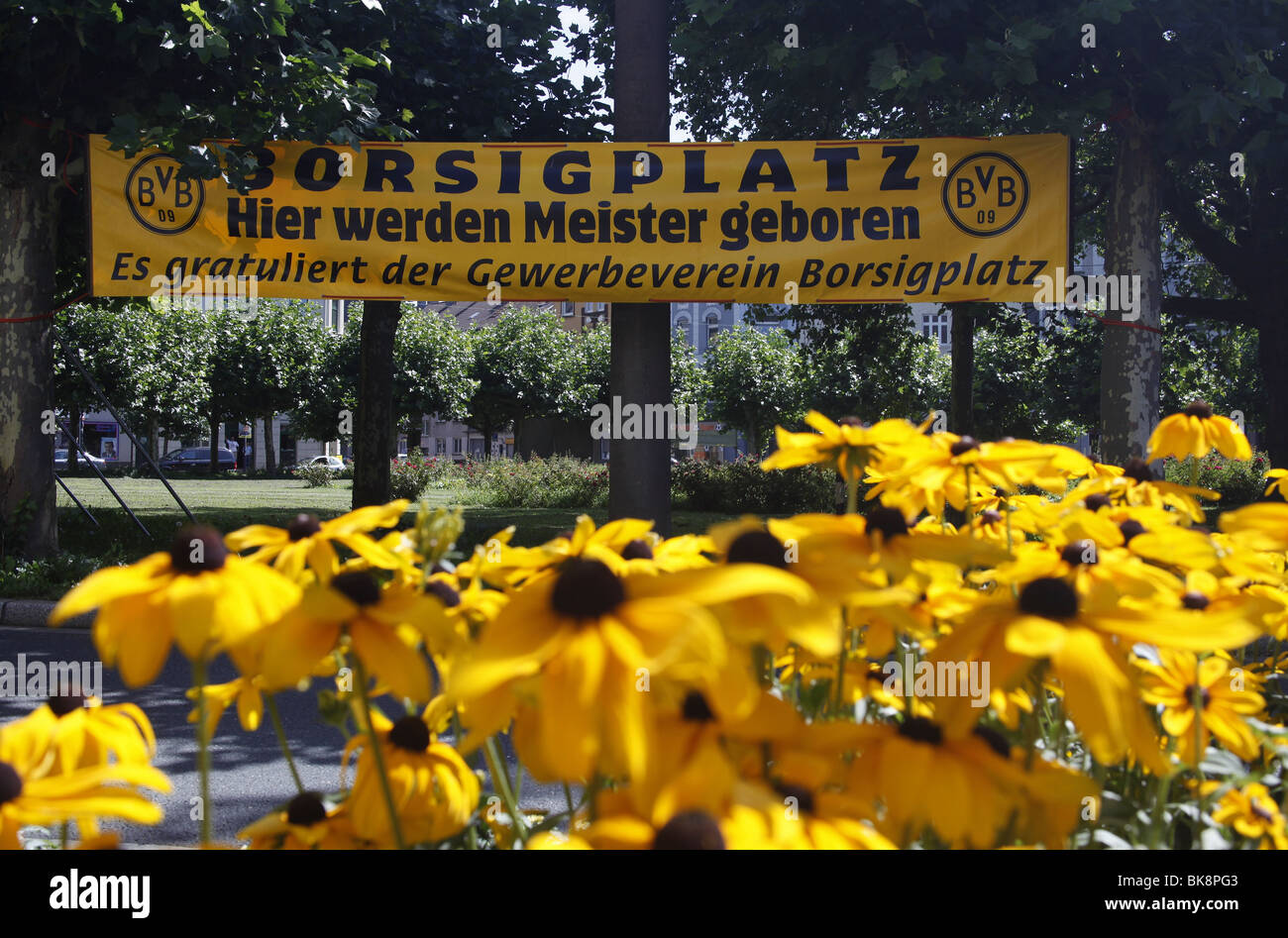 Borsigplatz cuadrado negro-amarillo con flores y banderas para conmemorar el centenario del club de fútbol Borussia Dortmund. Foto de stock