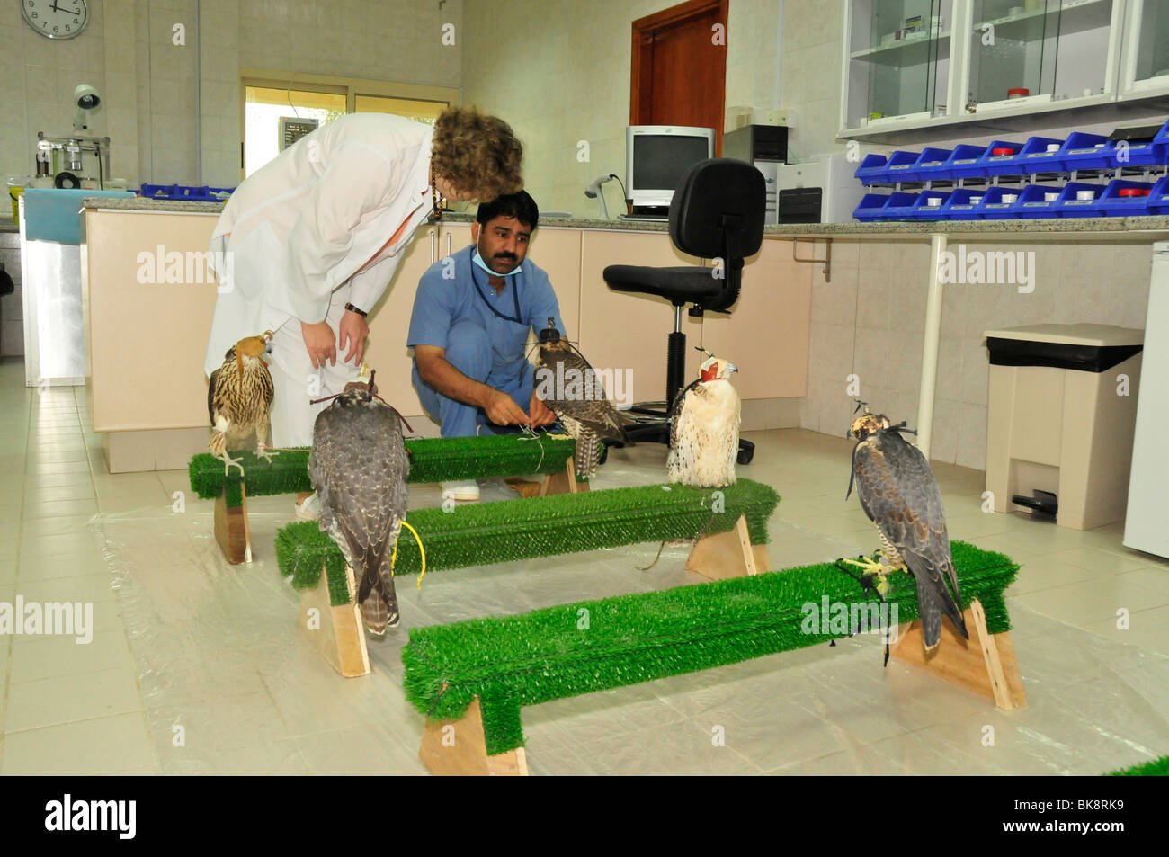 La Dra. Margit Gabriele Mueller, jefe del Abu Dhabi Falcon Hospital y un portero en la sala de espera del hospital, Abu Dhabi Foto de stock