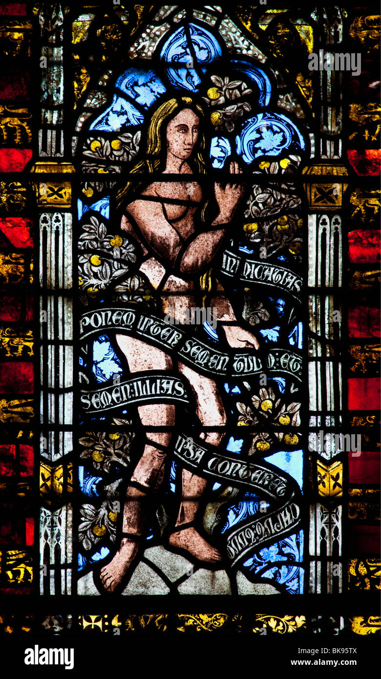 Eva en el Jardín del Edén, vidrieras medievales, este panel de ventana, Wells Cathedral, Somerset, Reino Unido Foto de stock
