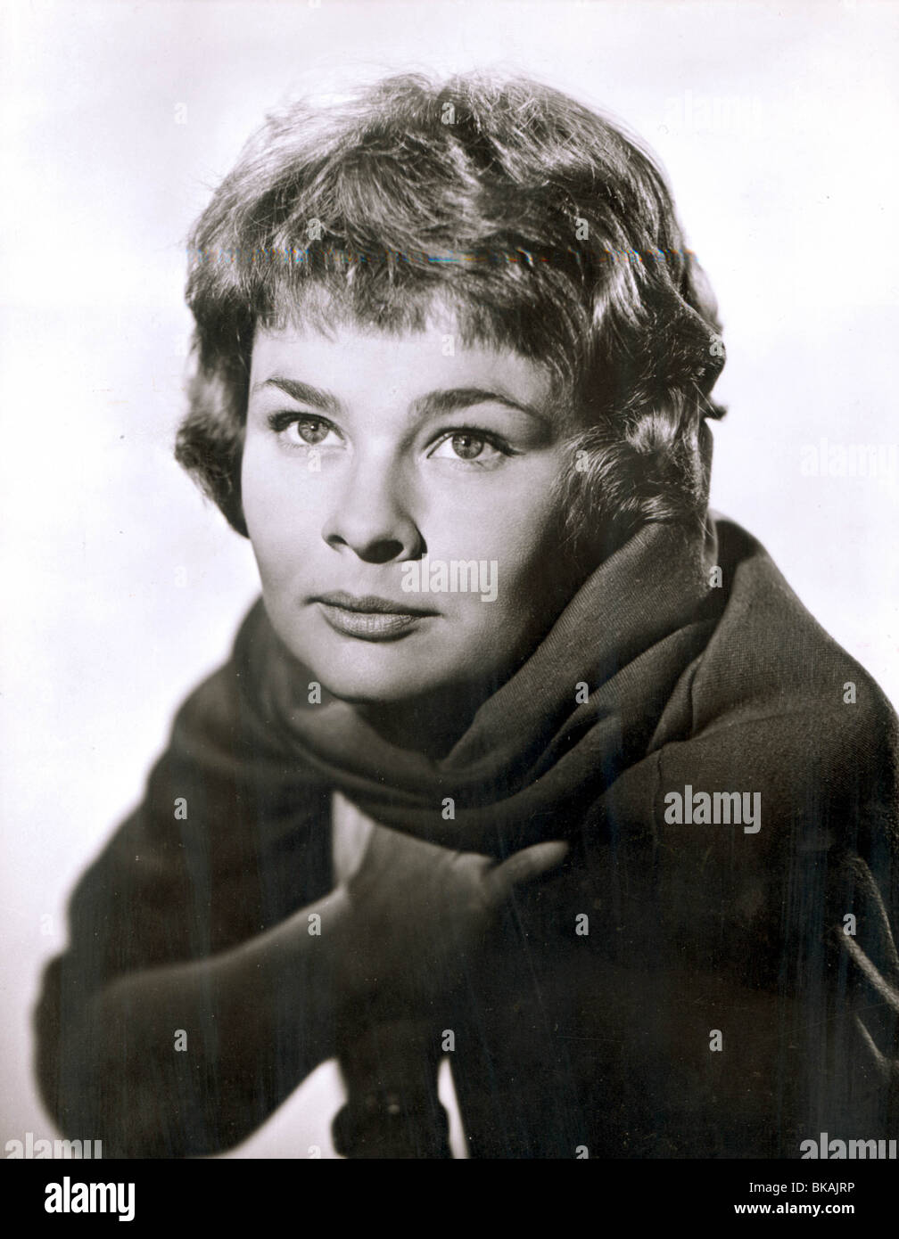 JUDI DENCH RETRATO Foto de stock