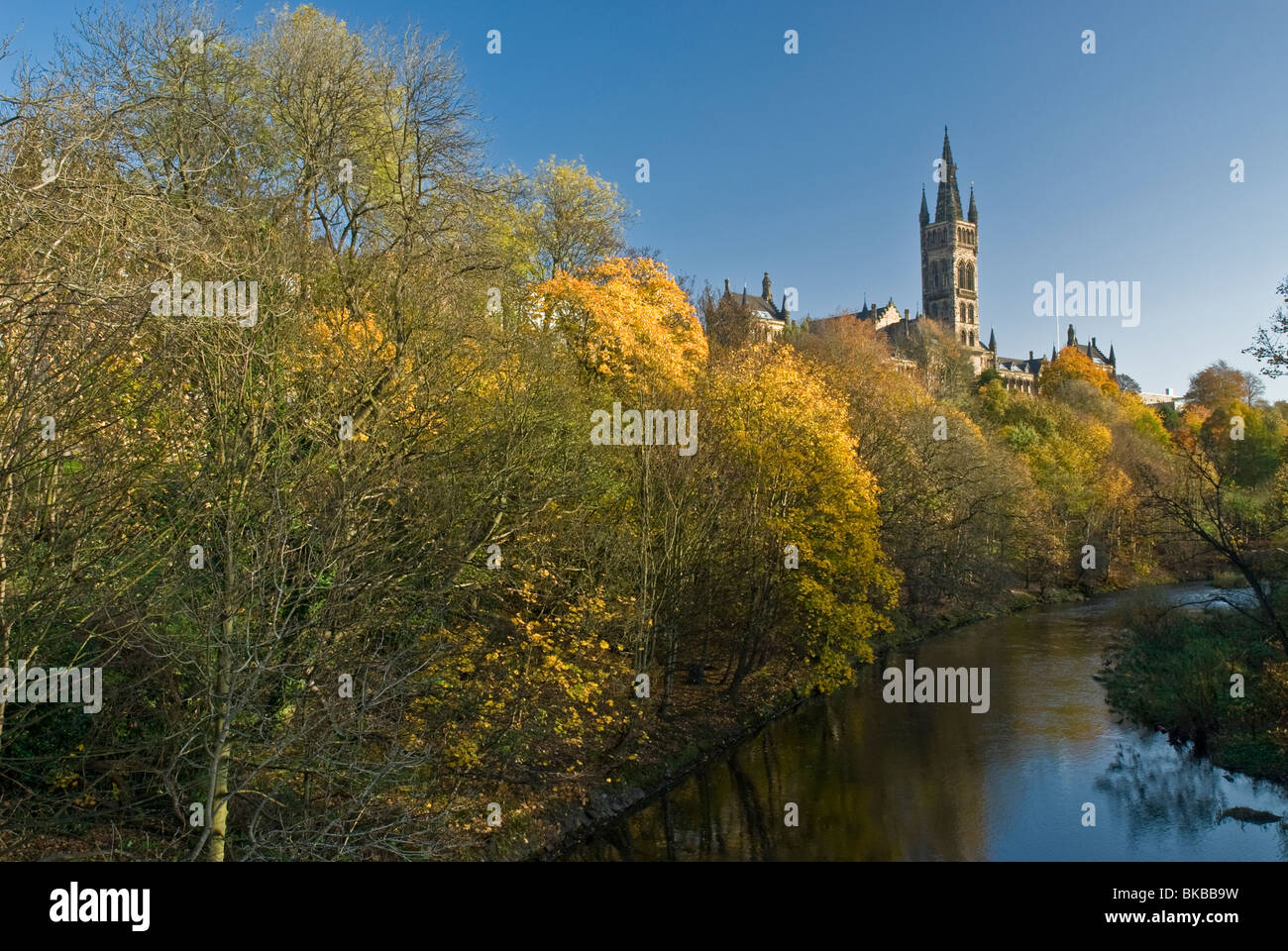 La Universidad de Glasgow , Río Kelvin y colores de otoño Glasgow Escocia Foto de stock