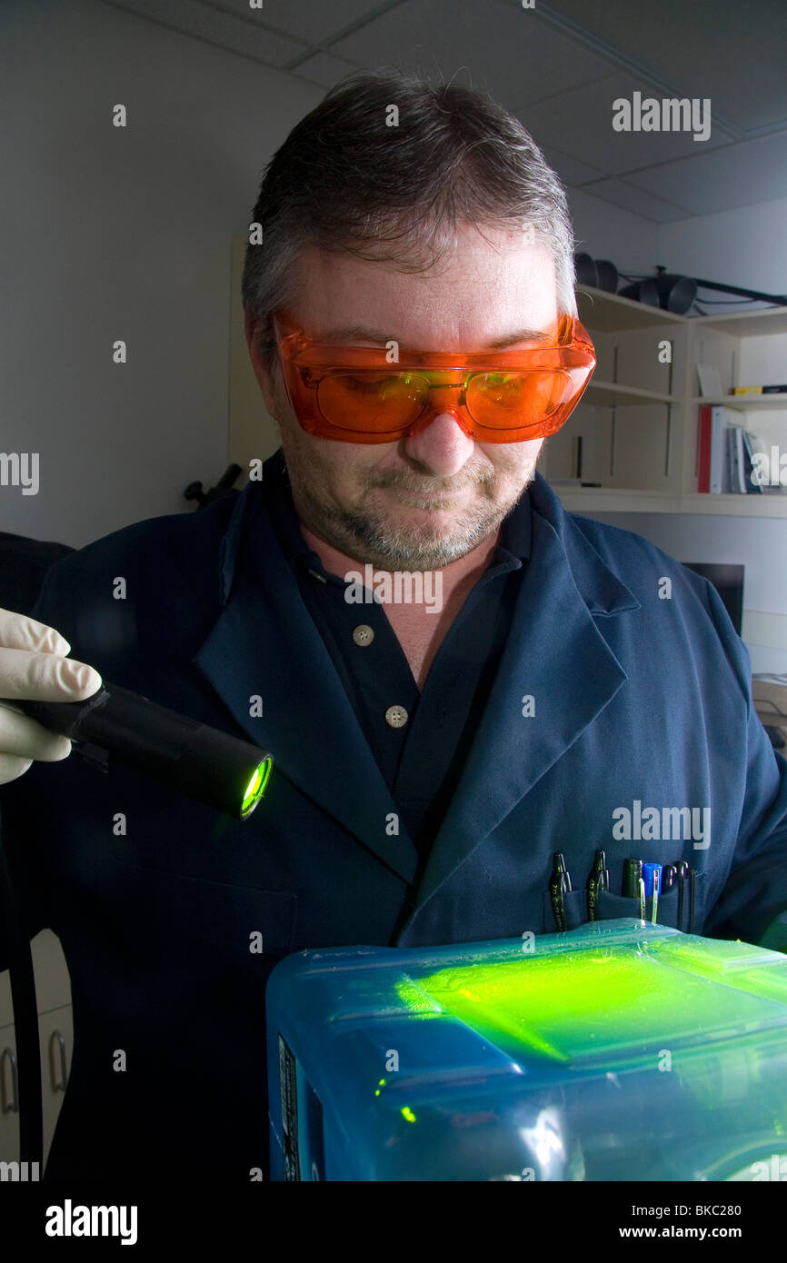 Analista de huellas dactilares utilizando una fuente de luz de color para iluminar las huellas dactilares en la evidencia forense en un laboratorio de la delincuencia. Foto de stock