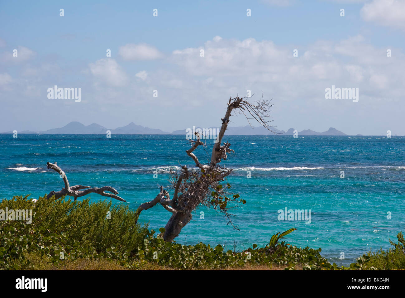 Una vista de St Barthelemy y Ile Fourchue de Ilet Pinel (Pinel Island) Orient Bay, St Martin Foto de stock
