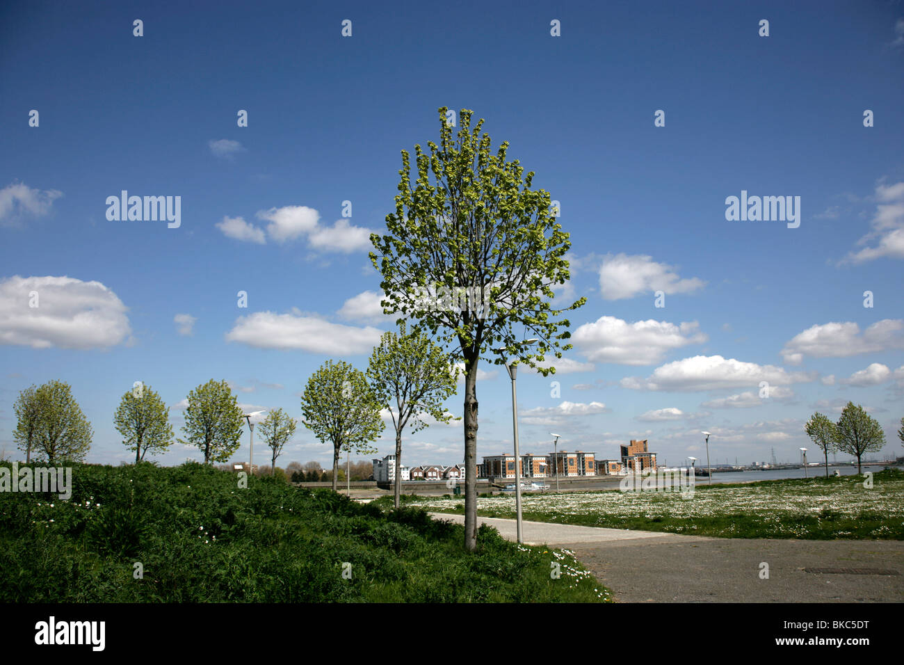 El Arsenal Real jardines de Woolwich, al sureste de Londres, Reino Unido, incluir un wildflower meadow Foto de stock