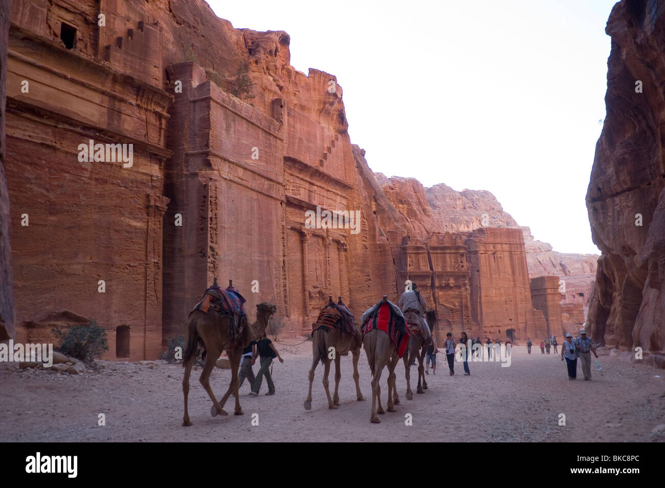 Los turistas y los camellos en la "calle de las fachadas" en Petra, Jordania Foto de stock