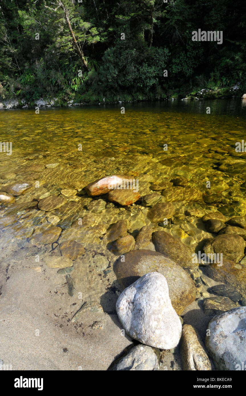 Río Inangahua, Buller, Costa oeste, Nueva Zelanda. Foto de stock