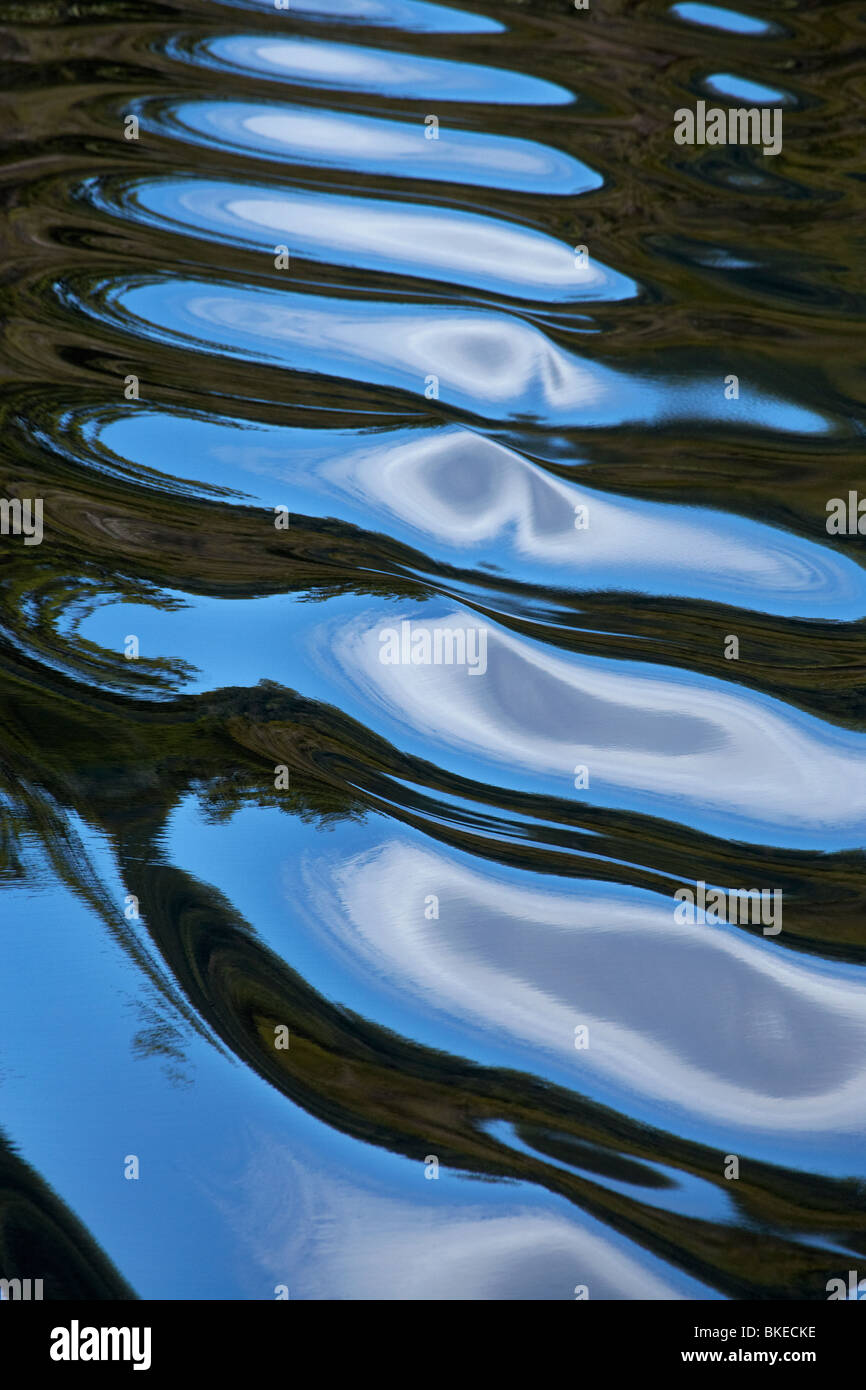 Ondulaciones, Gordon River, Franklin - Gordon Wild Rivers National Park, la zona de patrimonio mundial salvaje Tasmania Tasmania Foto de stock