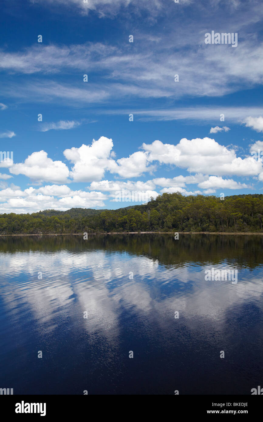 Reflexiones en Macquarie Harbour cerca de la desembocadura del río Gordon, - Franklin Gordon Wild Rivers National Park, Tasmania, Australia Foto de stock