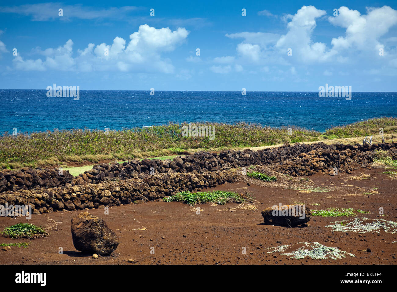 Los birthstones del rey Kamehameha en Kokoike,Hawaii. Foto de stock